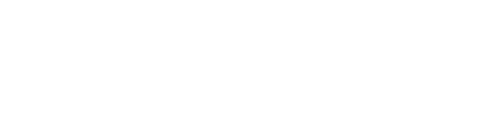 NGenious-Logo-White-without-Tagline